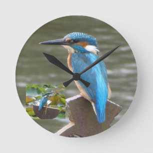 Niedliche Kingfisher-Uhr Runde Wanduhr