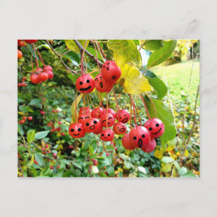 Niedliche Kirschen Postkarte