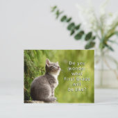 Niedliche Kitten Elementarschüler Begrüßung Postka Postkarte (Stehend Vorderseite)