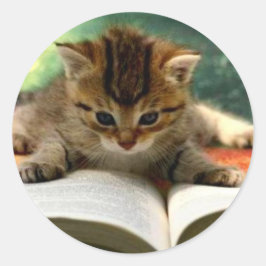 Niedliche Kitten Lesen eines Buches Runder Aufkleber