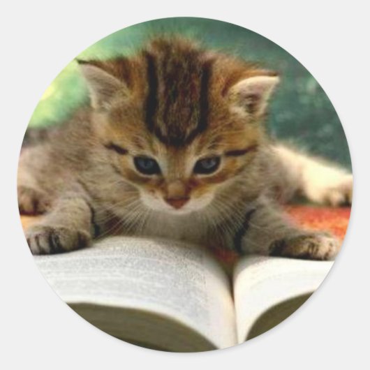 Niedliche Kitten Lesen eines Buches Runder Aufkleber (Vorderseite)
