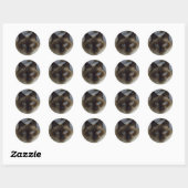 Niedliche Kitten Stickers (Blatt)