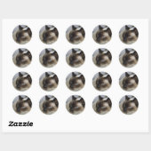 Niedliche Kitten Stickers (Blatt)