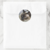 Niedliche Kitten Stickers (Tasche)