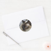 Niedliche Kitten Stickers (Umschlag)
