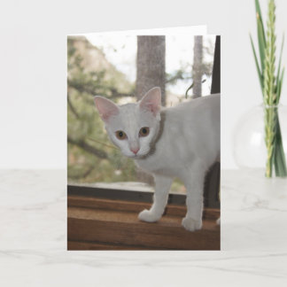 Niedliche Kittennotizkarte Karte