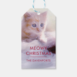 Niedliche Kittenruhe auf einer Weihnachtsmannmütze Geschenkanhänger