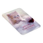 Niedliche Kittenruhe auf einer Weihnachtsmannmütze Magnet (Rechte Seite)