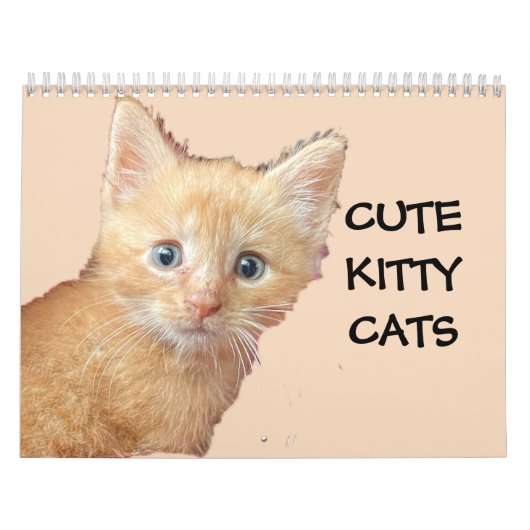 NIEDLICHE KITTIENKATZEN KALENDER (Titelbild)
