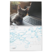NIEDLICHE KITTIENKATZEN KALENDER (Feb 2027)