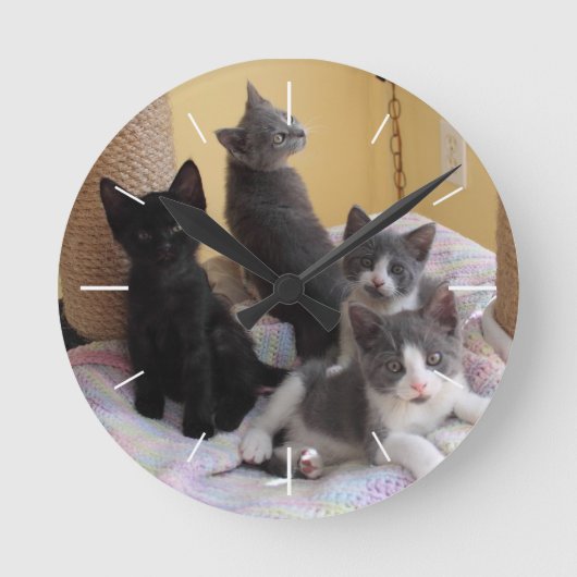 Niedliche Kitts Wall Clock Runde Wanduhr (Vorderseite)