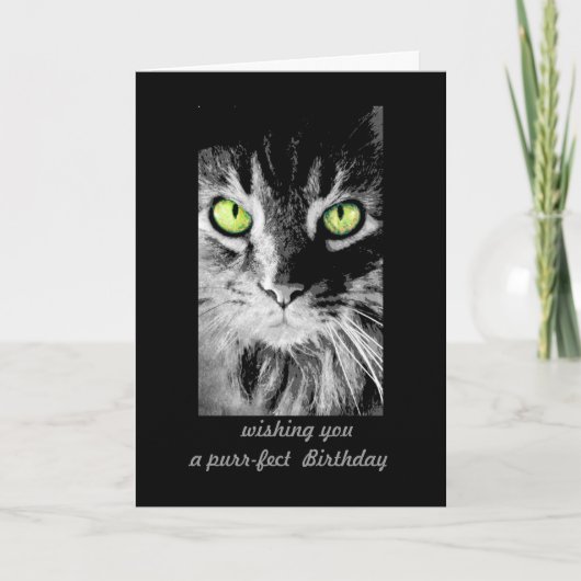 niedliche Kitty Cat Birthday Card Foto humorvoll Karte (Vorderseite)