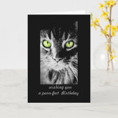 niedliche Kitty Cat Birthday Card Foto humorvoll Karte (Gelbe Blume)