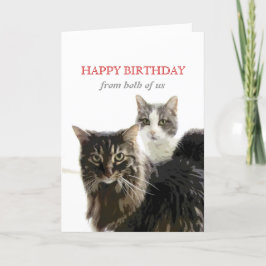 niedliche Kitty Cat Geburtstagskarte von uns beide Karte