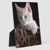 Niedliche Kitty-Looking Fotoplatte (Seite)