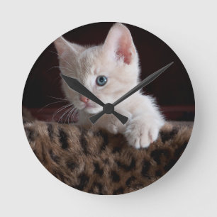 Niedliche Kitty-Looking Runde Wanduhr