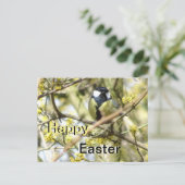 Niedliche kleine Bird Happy Osterpostkarte Postkarte (Stehend Vorderseite)