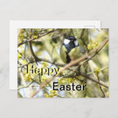 Niedliche kleine Bird Happy Osterpostkarte Postkarte (Vorne/Hinten)