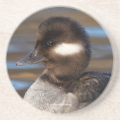 Niedliche kleine Buffelkopfente in sonnenbeleuchte Getränkeuntersetzer (Vorne)