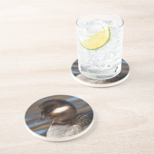 Niedliche kleine Buffelkopfente in sonnenbeleuchte Getränkeuntersetzer (Seite)