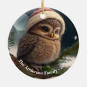 Niedliche kleine Eule über einem schneebedeckten B Keramik Ornament (Hinten)