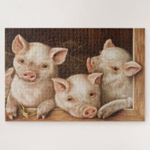 Niedliche kleine Ferkel in einer Scheune im Betrie