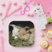 Niedliche kleine, flauschige Teller (Party)