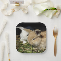 Niedliche kleine, flauschige Teller