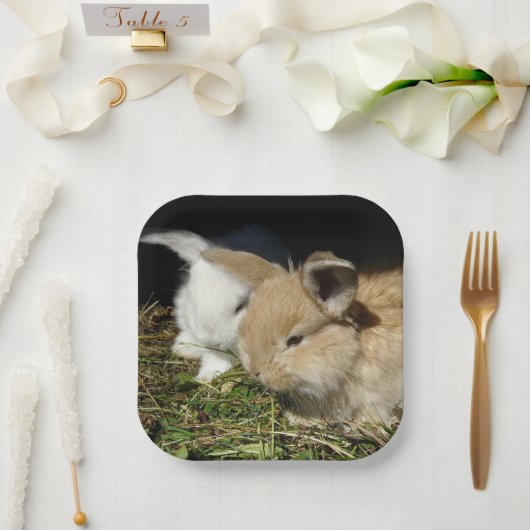 Niedliche kleine, flauschige Teller (Hochzeit)