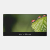 Niedliche kleine glückliche Ladybugs für eine posi Schreibtischunterlage (Vorderseite)