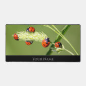 Niedliche kleine glückliche Ladybugs für positive  Schreibtischunterlage (Vorderseite)