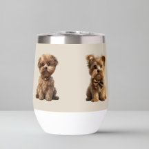 Niedliche kleine Hunde | Liebhaber des Hundes