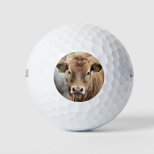 NIEDLICHE KLEINE KUHE GOLFBALL (Vorderseite)
