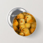 Niedliche kleine Küken Button (Vorne & Hinten)