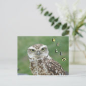 Niedliche kleine Owl HELLO Postkarte (Stehend Vorderseite)