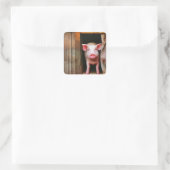 Niedliche kleine Piggy Stickers (Tasche)