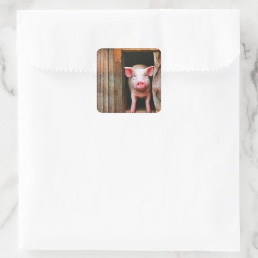 Niedliche kleine Piggy Stickers (Tasche)