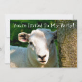 NIEDLICHE KLEINE SCHAFE EINLADUNG (Vorderseite)