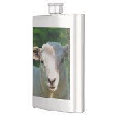 NIEDLICHE KLEINE SCHAFE FLACHMANN (Links)