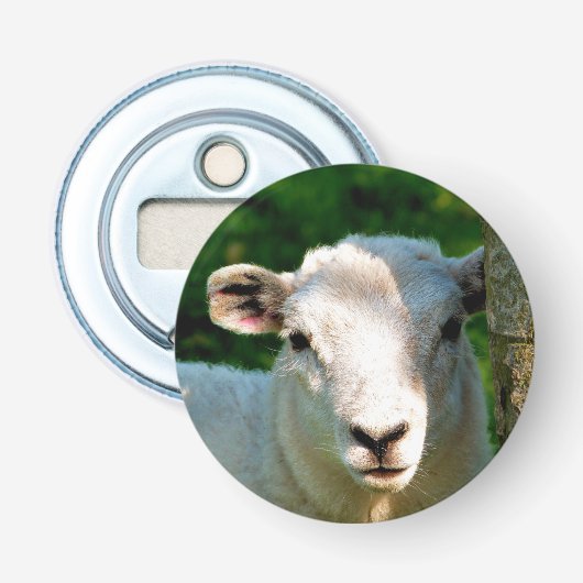 NIEDLICHE KLEINE SCHAFE FLASCHENÖFFNER (Vorderseite)