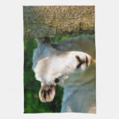 NIEDLICHE KLEINE SCHAFE GESCHIRRTUCH (Vertikal)