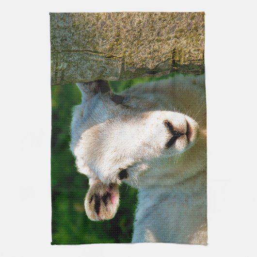 NIEDLICHE KLEINE SCHAFE GESCHIRRTUCH (Vertikal)