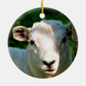 NIEDLICHE KLEINE SCHAFE KERAMIKORNAMENT (Hinten)