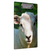 NIEDLICHE KLEINE SCHAFE KLEMMBRETT (Rechts)