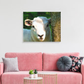 NIEDLICHE KLEINE SCHAFE LEINWANDDRUCK (Insitu (Wohnzimmer))