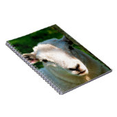 NIEDLICHE KLEINE SCHAFE NOTIZBLOCK (Rechte Seite)