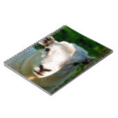 NIEDLICHE KLEINE SCHAFE NOTIZBLOCK (Linke Seite)