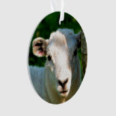 NIEDLICHE KLEINE SCHAFE ORNAMENT (Vorderseite)