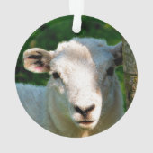 NIEDLICHE KLEINE SCHAFE ORNAMENT (Rückseite)