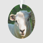 NIEDLICHE KLEINE SCHAFE ORNAMENT (Vorderseite)